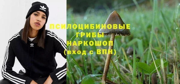 apvp Алексеевка