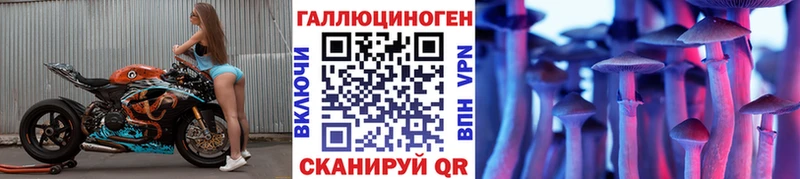 hydra рабочий сайт  Карабулак  Псилоцибиновые грибы Psilocybine cubensis 