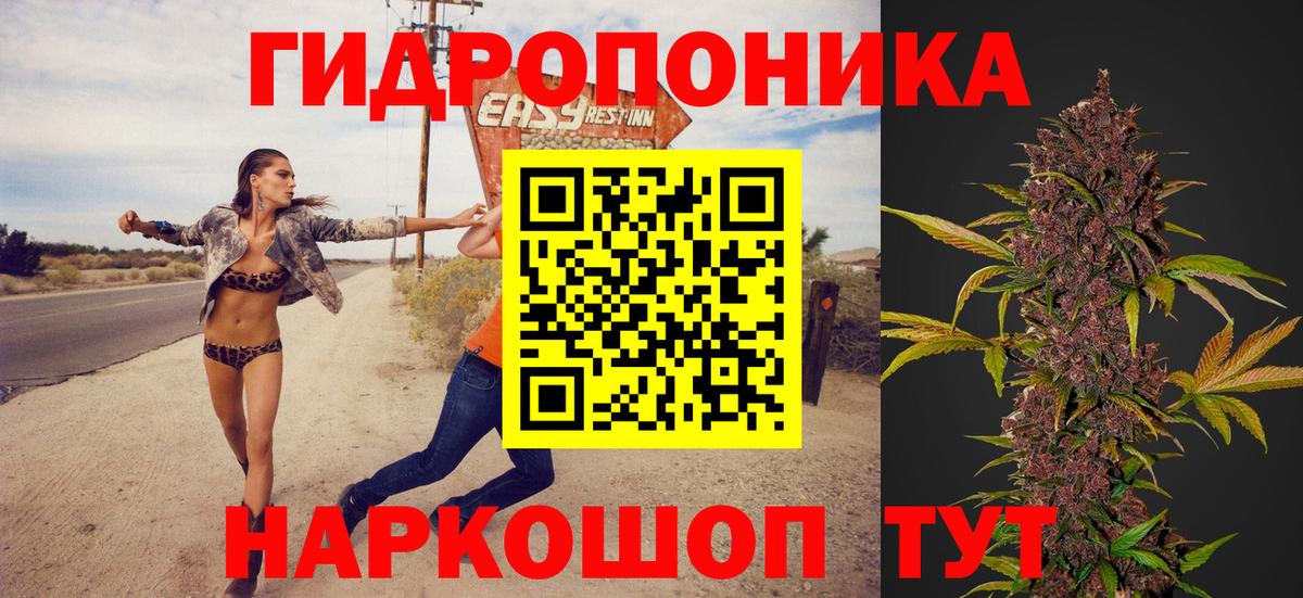 Каннабис ГИДРОПОН  Каннабис семена  Карабулак  Вход с VPN 